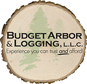 Budget Arbor & Logging