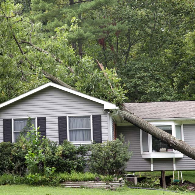 Tree Fallen on House During a Storm