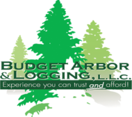 Budget Arbor & Logging