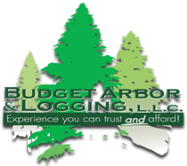Budget Arbor & Logging - Affordable Tree Service & Removal